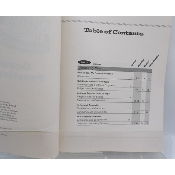 Scott Foresman Reading Grade 3 Grammar Practice Book - Picture 5 of 8